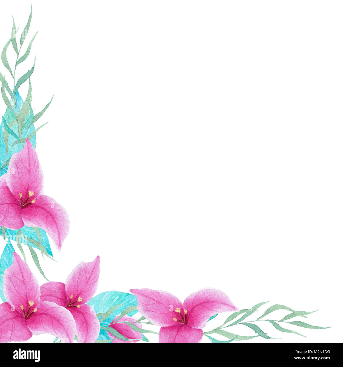 Acuarela bouganvillea artesanal marco flores sobre fondo blanco. Puede  usarlo para invitaciones, boda, decoraciones, tarjetas de felicitación  Fotografía de stock - Alamy
