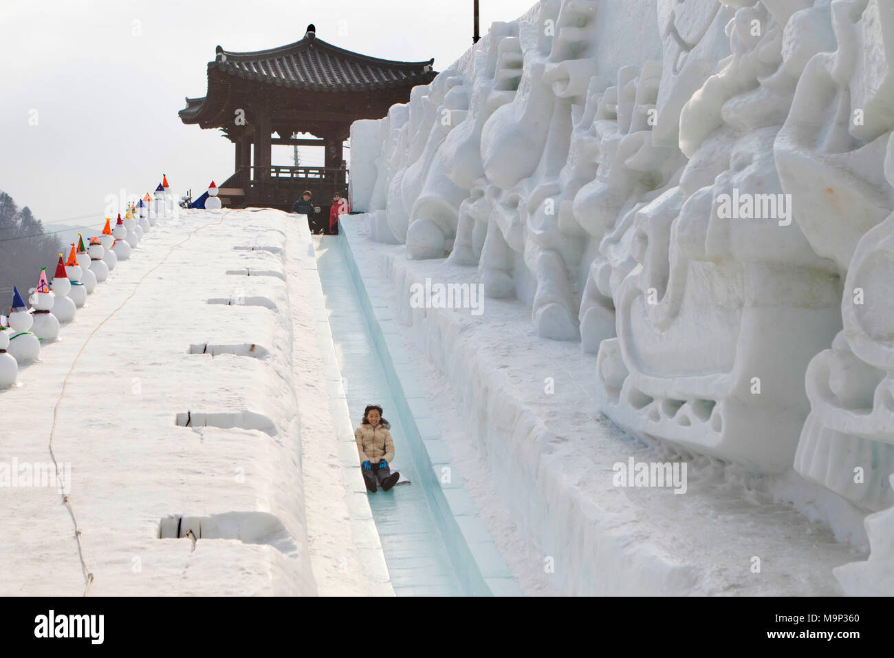 Una mujer asiática es divertirse tirarse en trineo por una empinada ladera de hielo. Festival de hielo Sancheoneo Hwacheon. Gangwon-do, Corea del Sur. El Festival de hielo Sancheoneo Hwacheon es una tradición para el pueblo coreano. En enero de cada año las multitudes se reúnen en el río congelado para celebrar el frío y la nieve del invierno. Su principal atractivo es la pesca sobre hielo. Jóvenes y viejos esperar pacientemente a través de un pequeño agujero en el hielo para una trucha a morder. En carpas pueden dejar el pescado a la parrilla después de que se comen. Entre otras actividades están el trineo y patinaje sobre hielo. La cercana región Pyeongchang será el anfitrión de los Juegos Olímpicos de Invierno en febrero Foto de stock