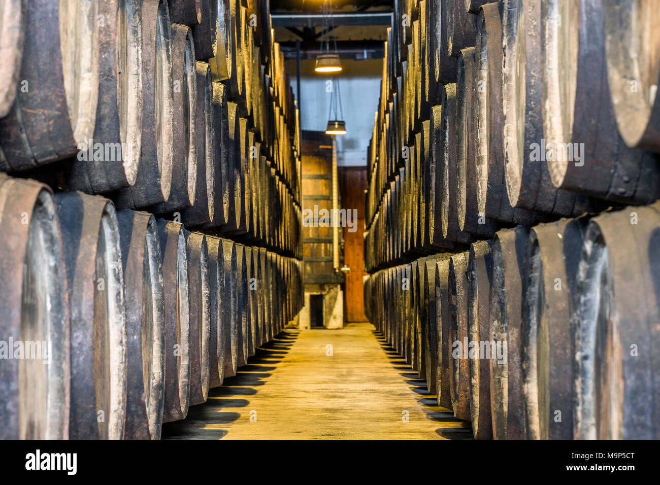 Un montón de barriles de vino de Oporto en Vila Nova de Gaia, Portugal Foto de stock