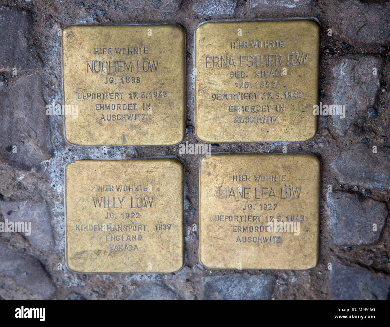Escollos, placa conmemorativa, la deportación, el holocausto, los judíos víctimas del nacionalsocialismo, Thomasiusstr, Berlín, Alemania. Foto de stock
