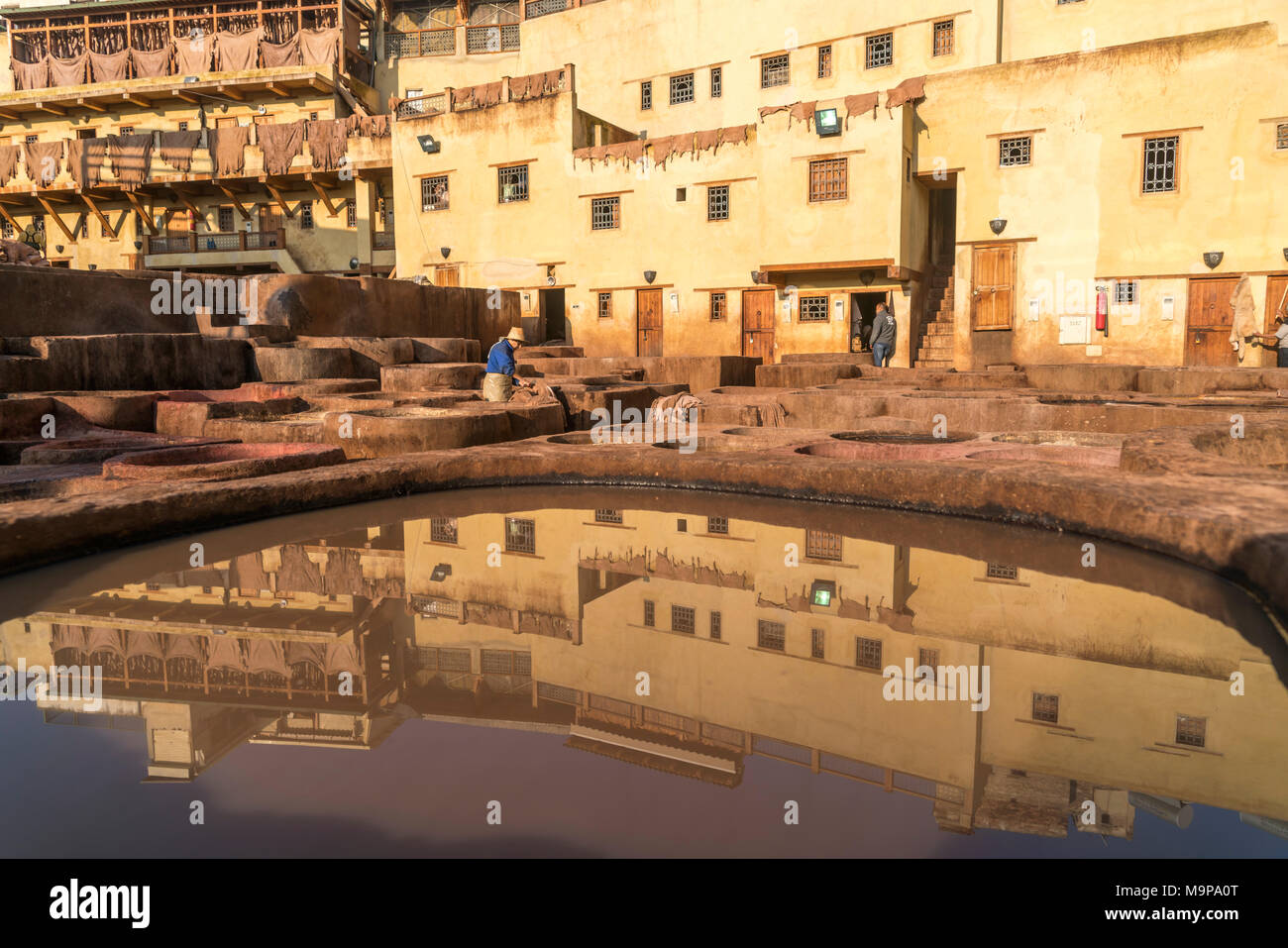 Teñido de cuero teñido de tanques, planta, Tannerie Chouara curtiduría, Fes el Bali curtido y teñido de distrito, Fez, Marruecos Foto de stock