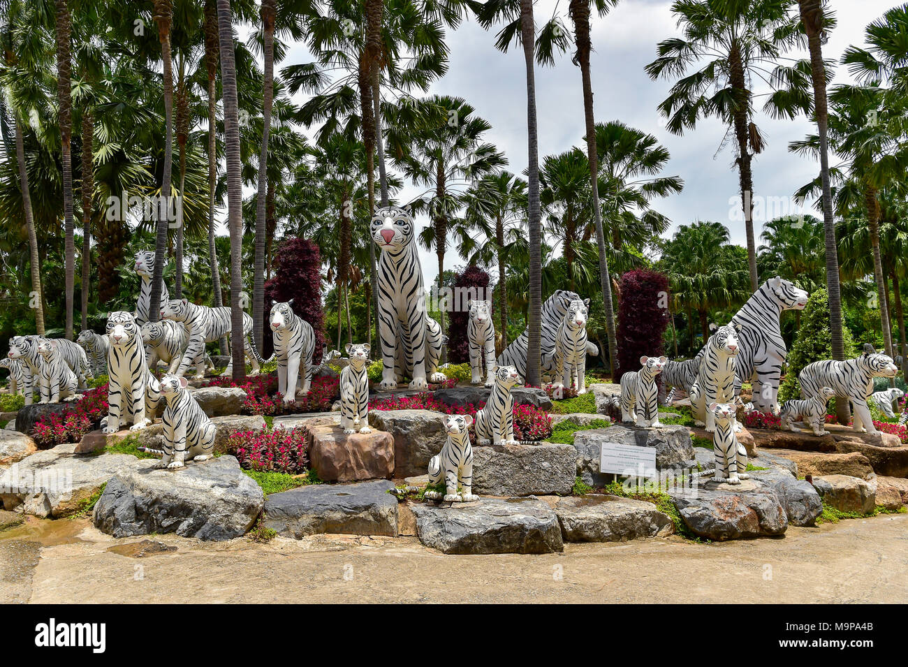 Tigre Blanco cifras, el jardín botánico tropical Nong Nooch, Pattaya, Tailandia Foto de stock