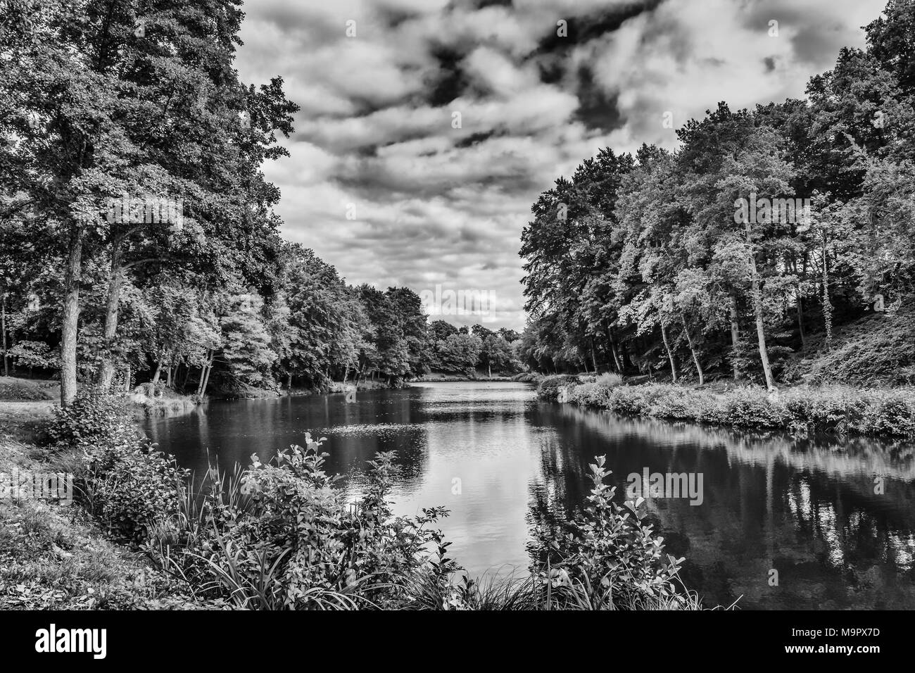 St-Fraimbault's Pond en el Orne campiña en un día de verano, Normandía Francia Foto de stock