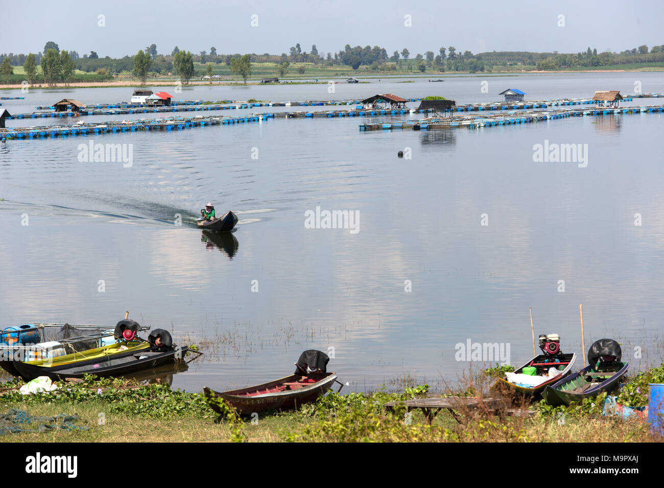 Granja de peces de agua dulce en el río Pao Lam, Lam Pao Dam, no Buri, provincia de Kalasin, Isan, Tailandia Foto de stock