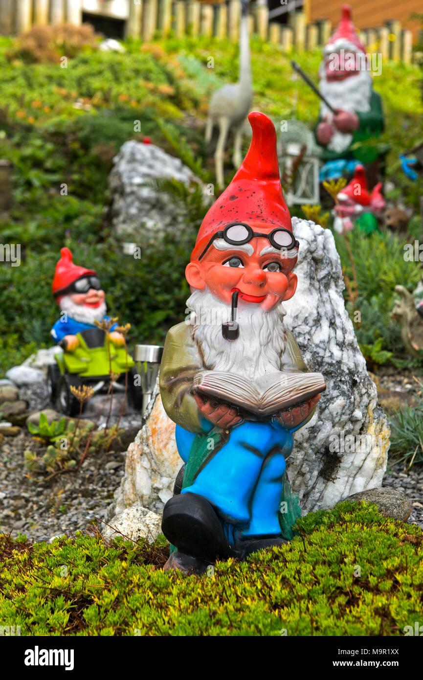 Gnomo de jardín con barba y pipe lee un libro, Engelberg, Cantón Unterwalden Alto, Suiza Foto de stock