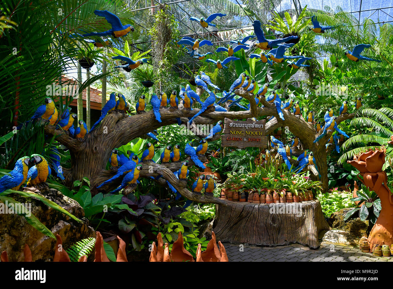 Cifras de loros, el jardín botánico tropical Nong Nooch, Pattaya, Tailandia Foto de stock