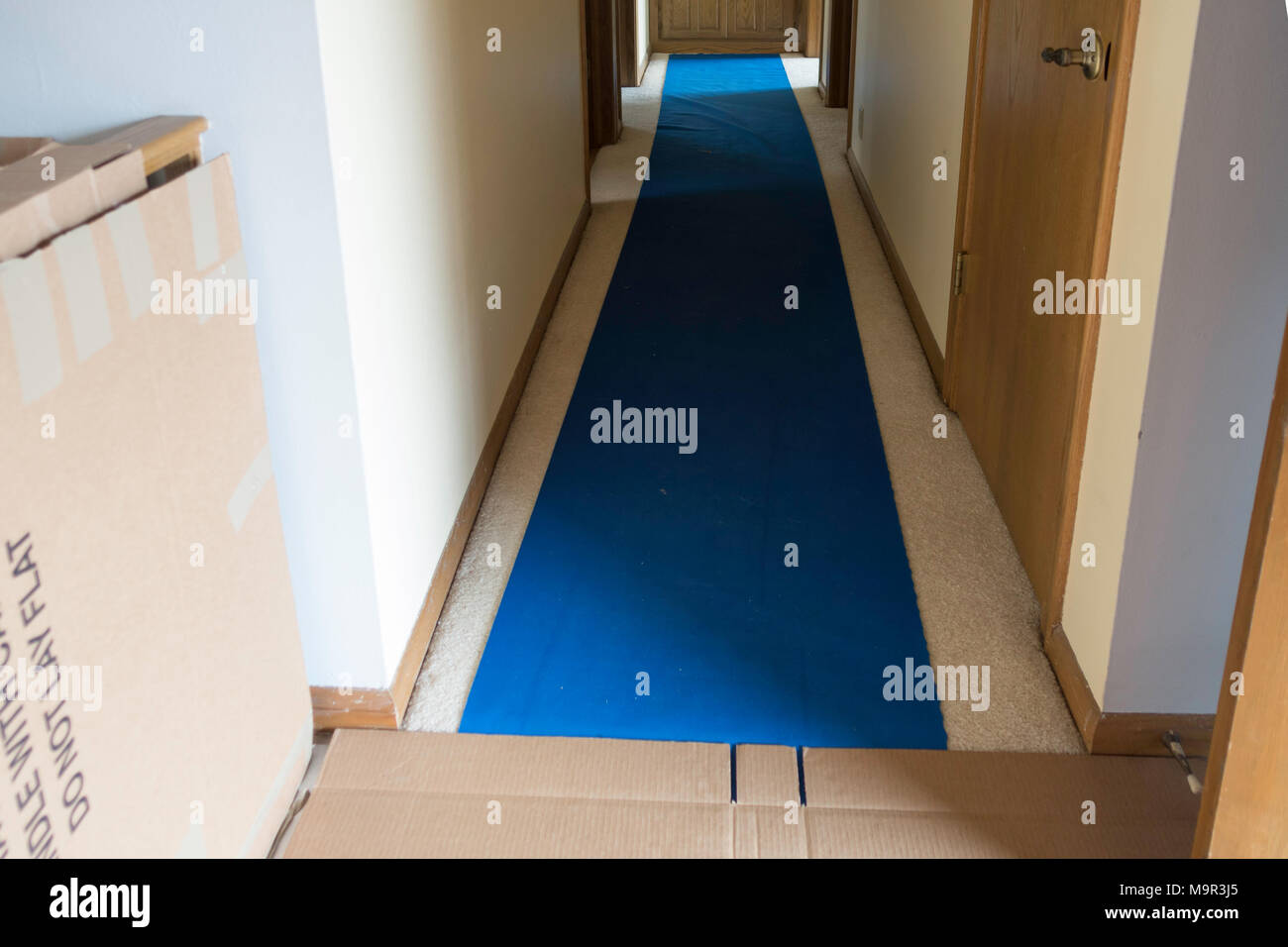 Corredor de alfombras fotografías e imágenes de alta resolución - Alamy