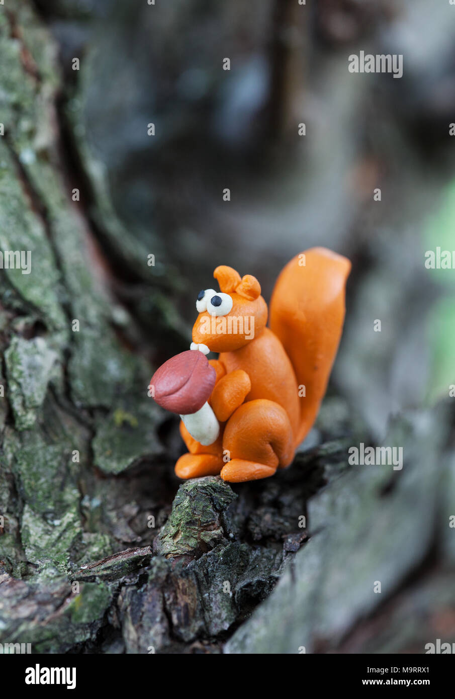 Plastilina mundo - pequeña ardilla casera tiene en paws setas polipores y  sentado sobre un árbol , el enfoque selectivo Fotografía de stock - Alamy