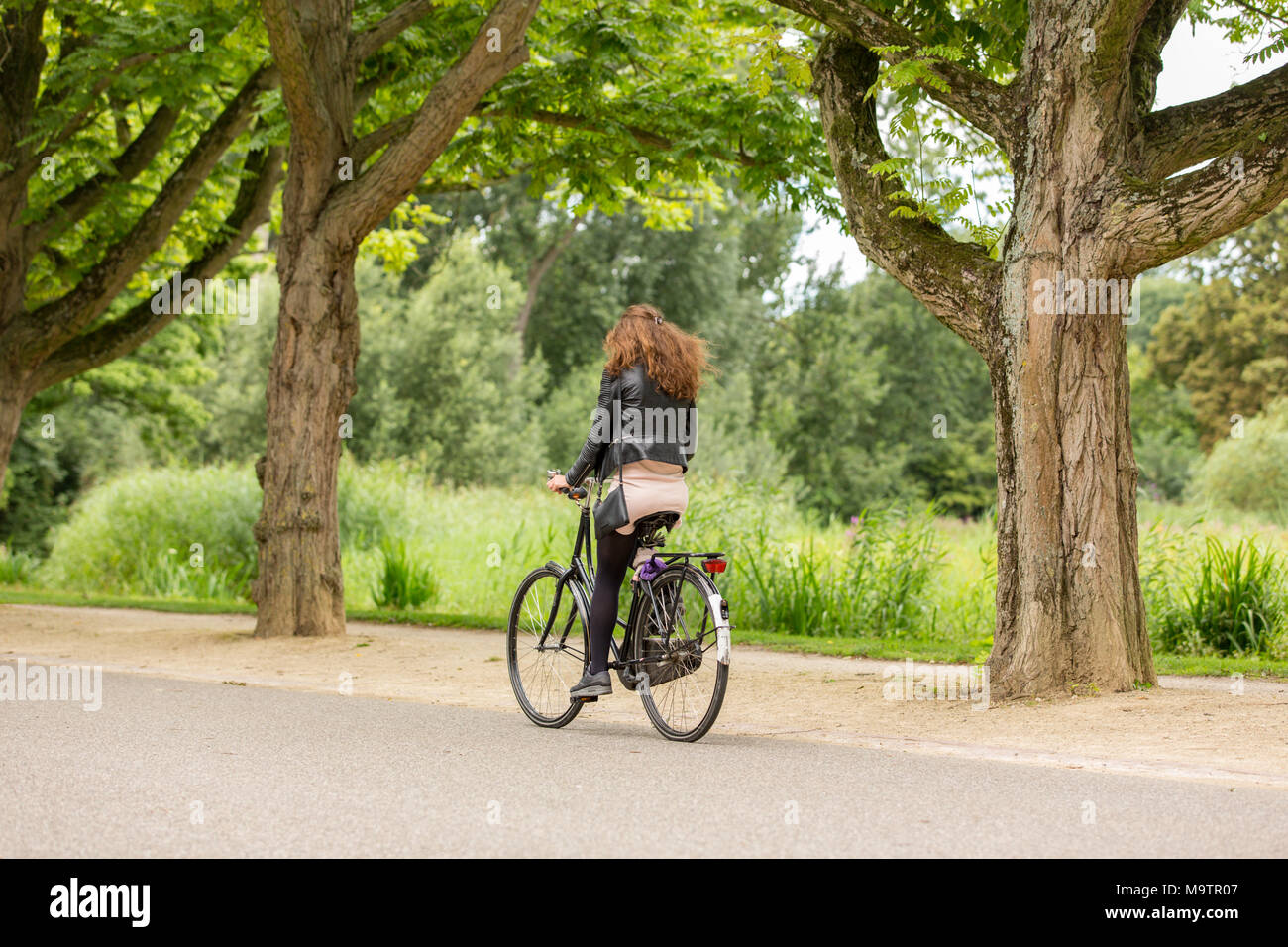 Chica en bicicleta por un omabike en Amsterdam Vondelpark en los Países Bajos. Foto de stock