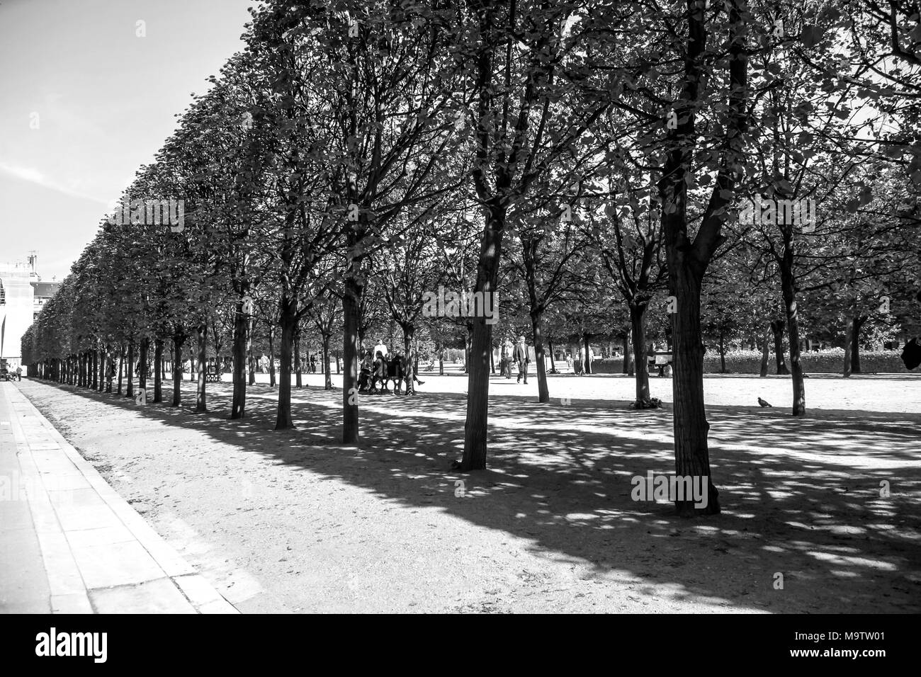 Jardín Tuilleries vista arbolada conduce al museo del Louvre. Summer View de la Terrasse du bord de l'Eau en París, Francia, en blanco y negro Foto de stock