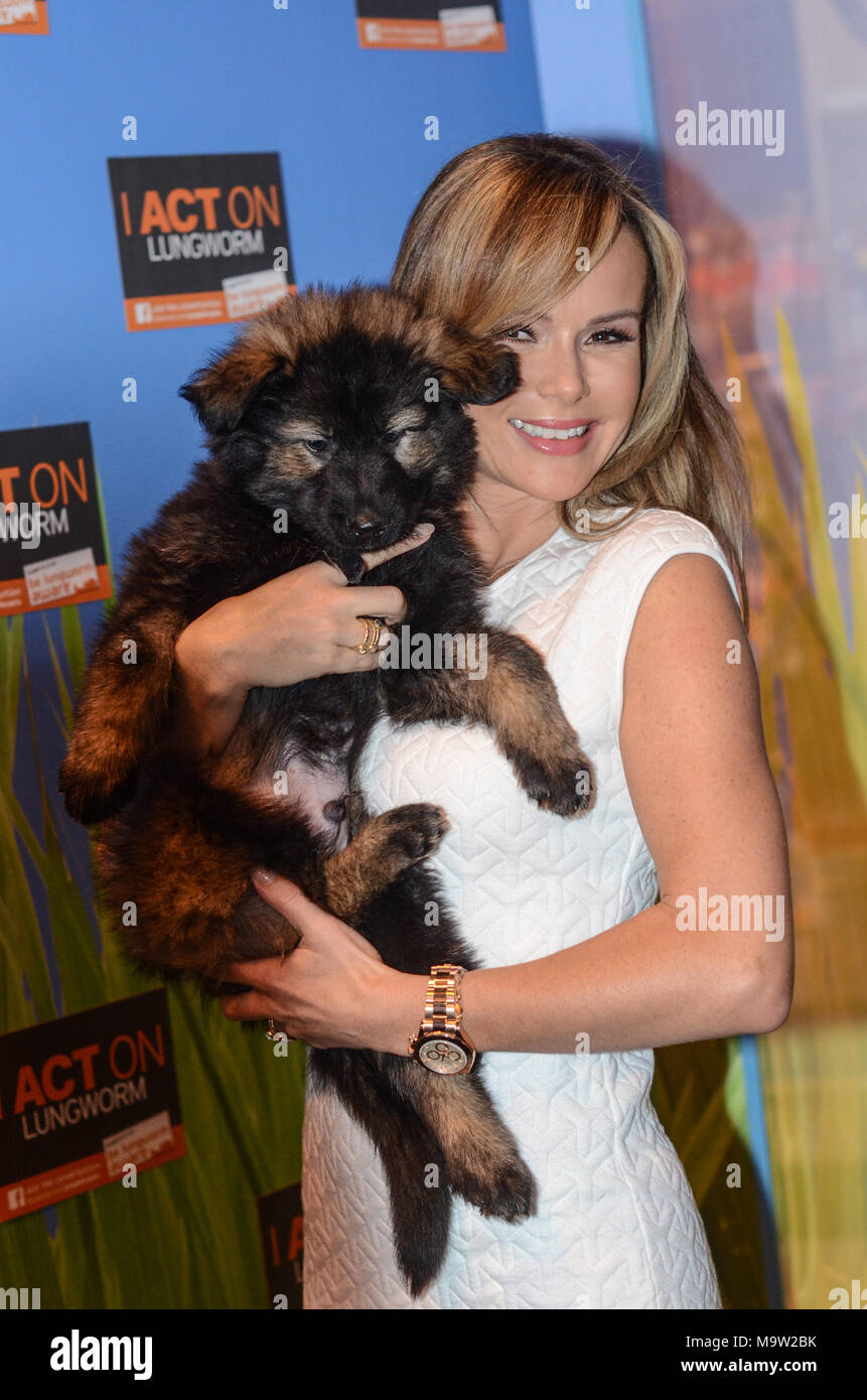 Amanda Holden sostiene y abraza un pastor alemán cachorro de perro policía  en Crufts para sensibilizar a la población de gusanos pulmonares en perros  Fotografía de stock - Alamy