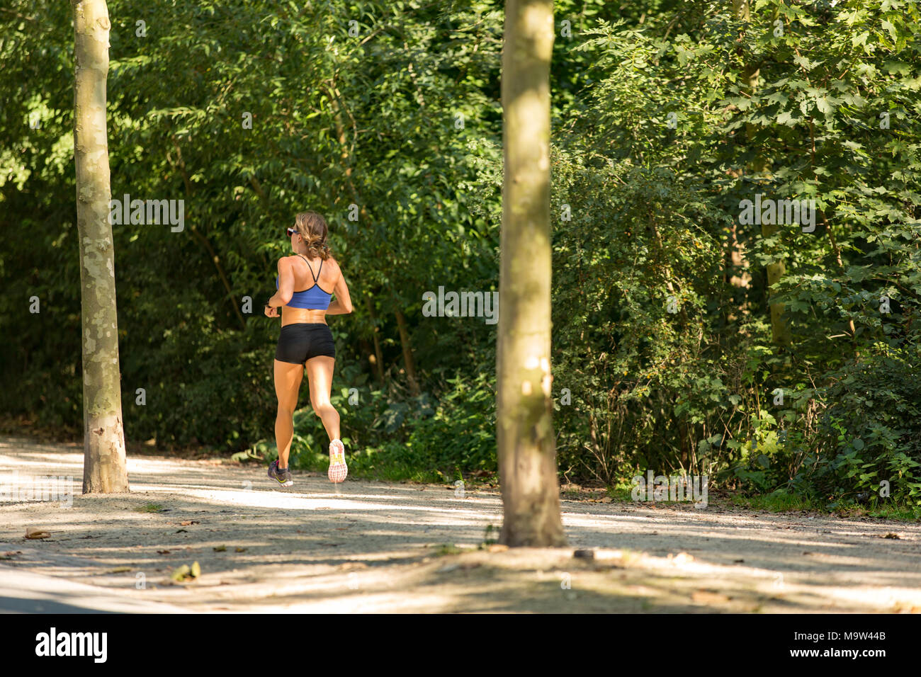bonito joven mujer corriendo en el carril en el parque 27865806 Foto de  stock en Vecteezy