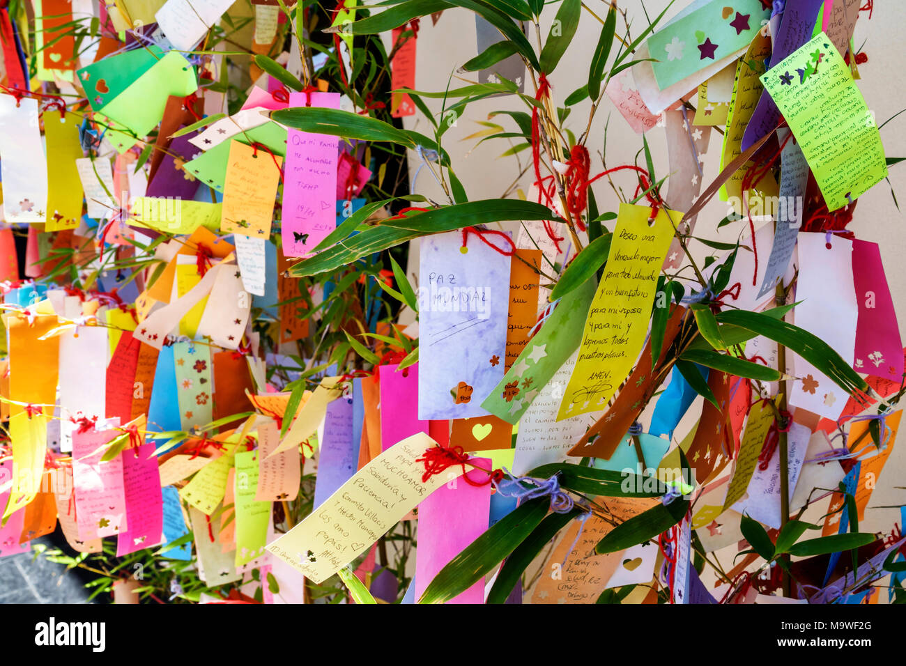 Argentina, Buenos Aires, Recoleta, Jardín Japonés Jardin Japones, Botánico, árbol de deseos, Tanzaku colgado de bambú, papel colorido, visita turística Foto de stock