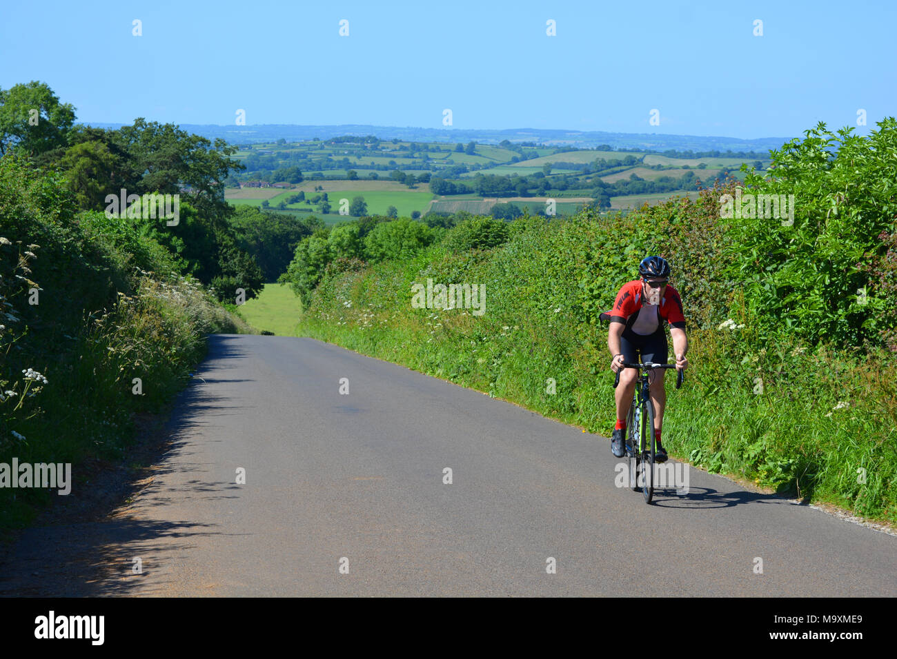 Hombre en bicicleta hasta una colina a principios de verano en la zona rural de Somerset, Inglaterra Foto de stock