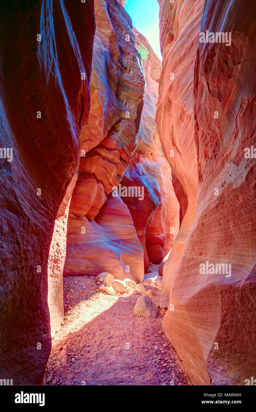 Sunbeam en la parte inferior del cañón. Angosto cañón de ranura hilos pasan en líder de Buckskin Gulch, Paria Canyon-Vermilion Cliffs Wilderness, cerca del Utah Foto de stock