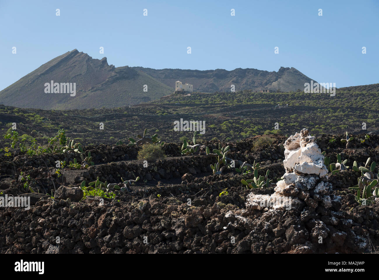 Paisaje volcánico con una casa blanca en el fondo en la isla de Lanzarote. Foto de stock