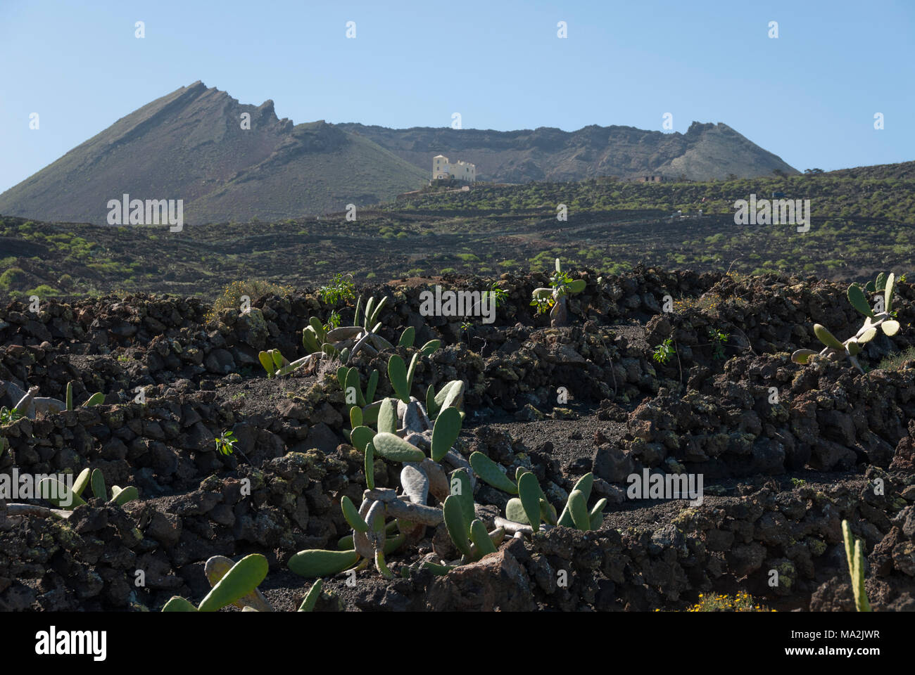 Paisaje volcánico con una casa blanca en el fondo en la isla de Lanzarote. Foto de stock