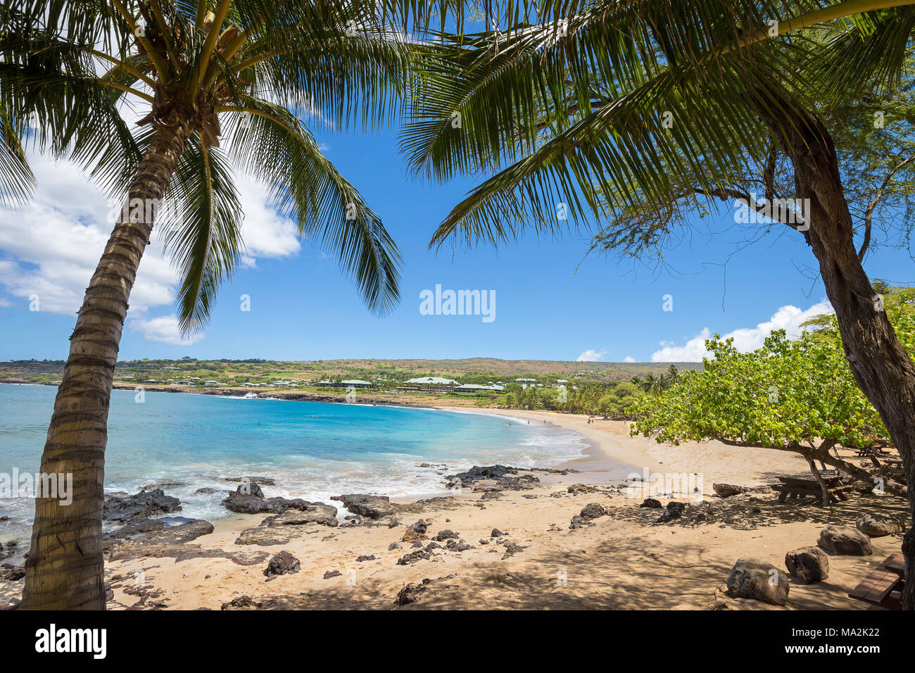 Four Seasons Resort con vistas a la playa de arena dorada y palmeras en Hulopo'e Beach Park, la isla de Lanai, Hawaii, USA. Foto de stock