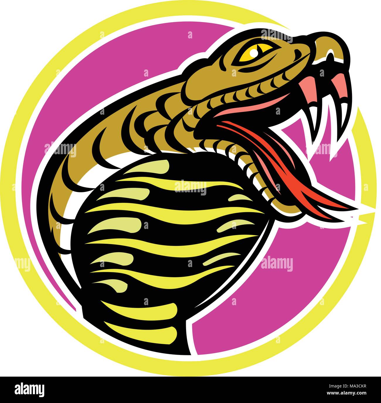 Icono de mascota ilustración de rey cobra, Ophiophagus hannah, o hamadryad, una serpiente venenosa en la familia Elapidae, endémica del Sudeste de Asia dentro de CI Ilustración del Vector