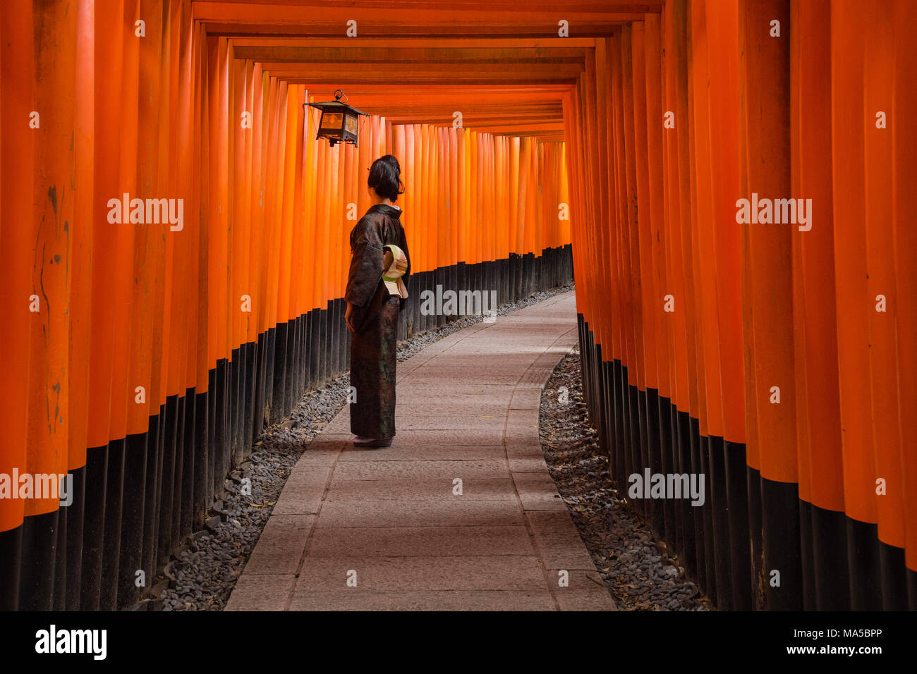 Asia, Japón Nihon, Nippon, Kyoto, Torii Senbon Fushimi Inari Taisha Shrine Foto de stock