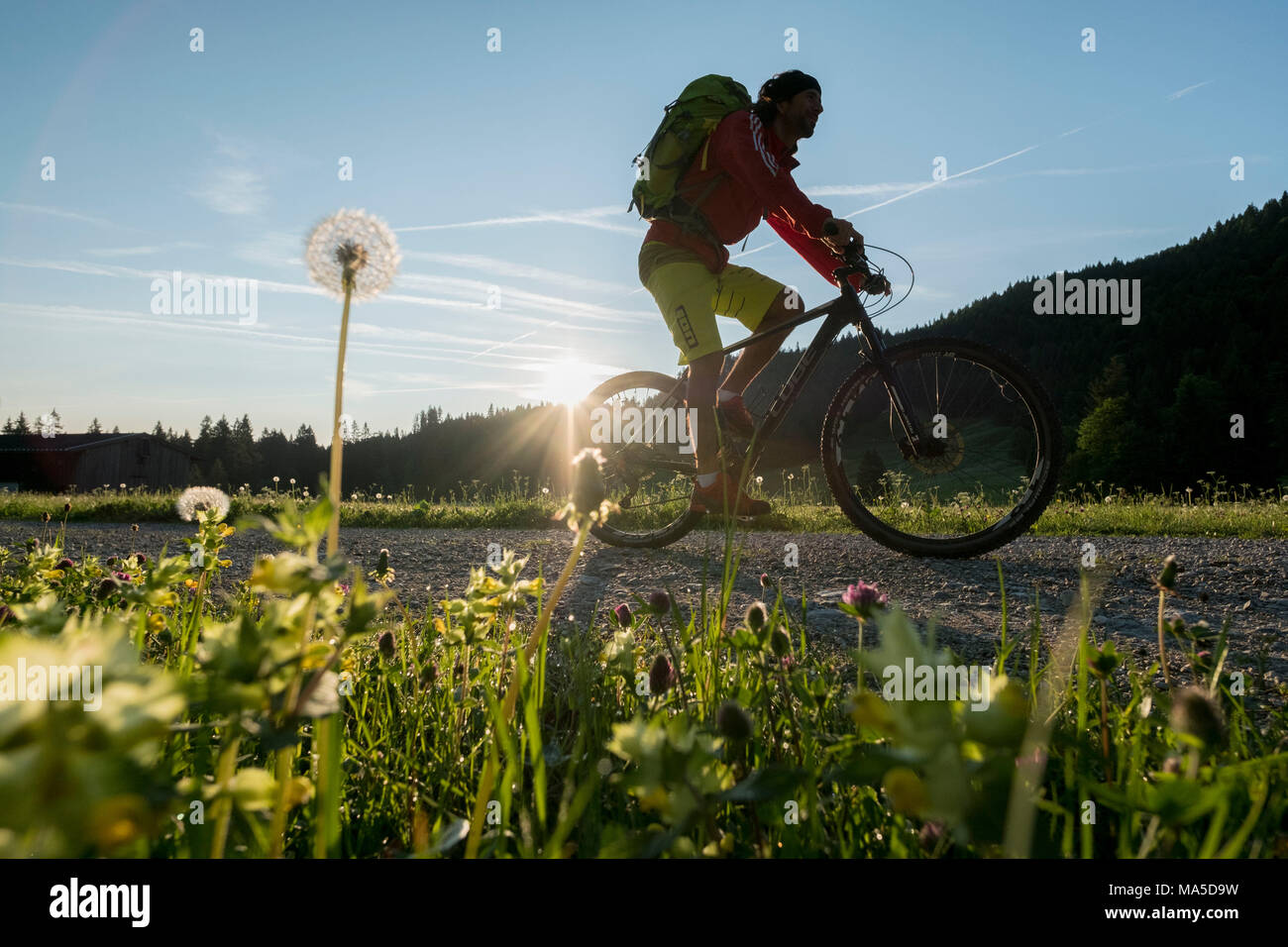 Mountain bike en la escena, cerca Leggries Längental (municipio), Alpes bávaros, Baviera, Alemania Foto de stock