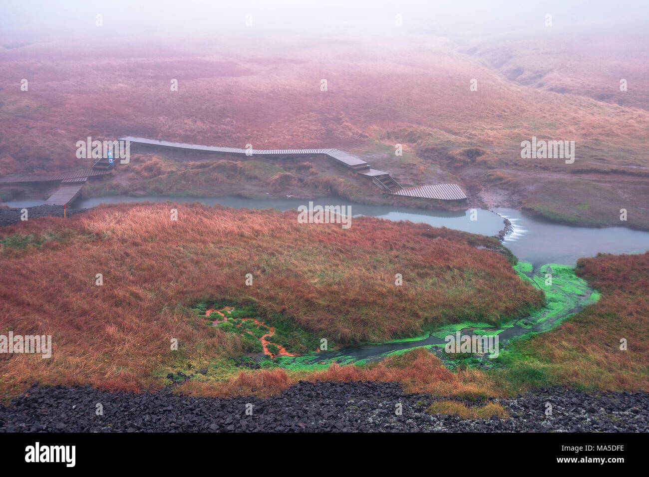 Europa, Europa del Norte, Islandia, Hveragerdi, Reykjadalur Hot Wells, vista a la Hot Wells en el valle de Reykjadalur Foto de stock