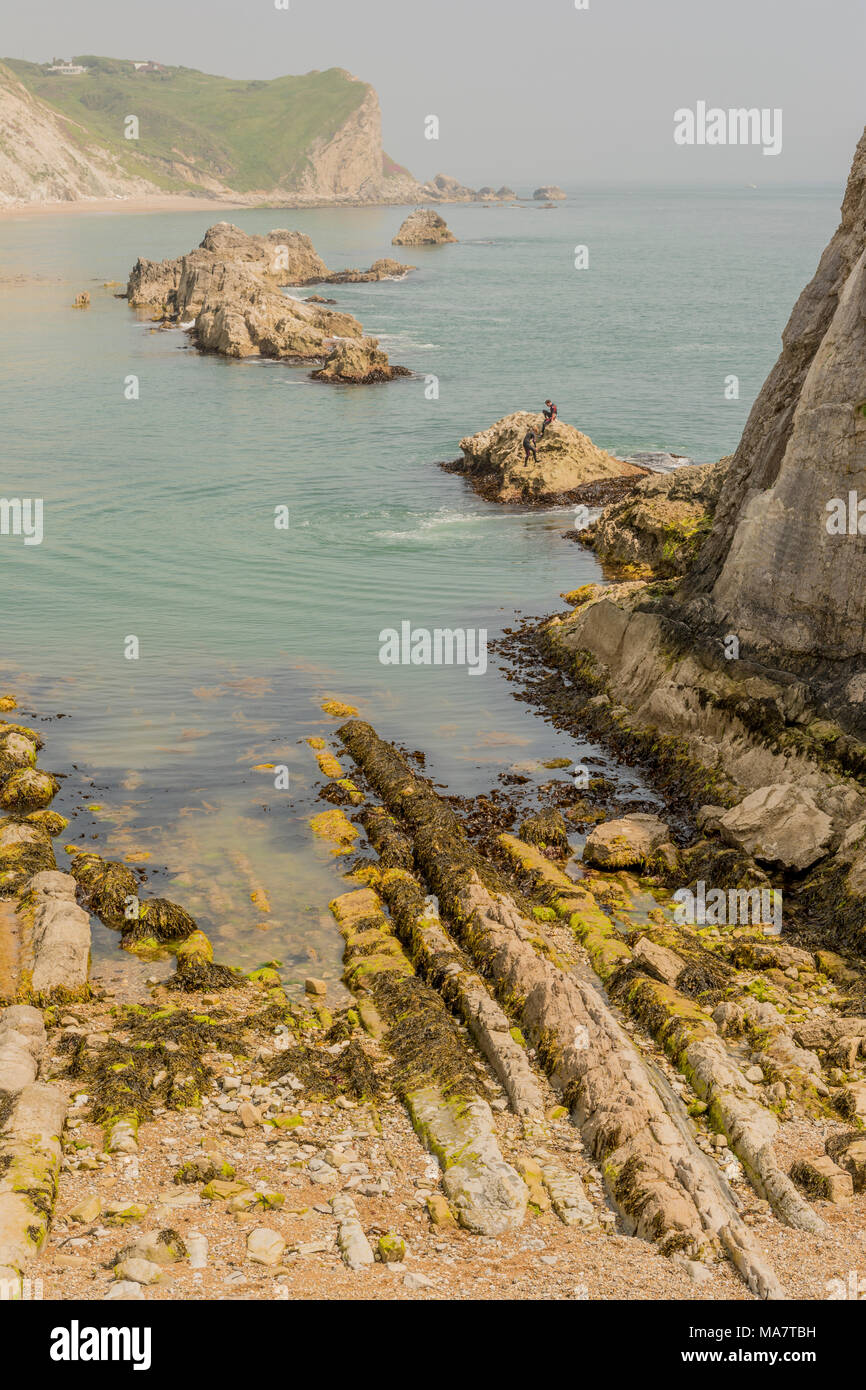 Man O'War beach, St Oswald's Bay, Dorset, Reino Unido. Foto de stock