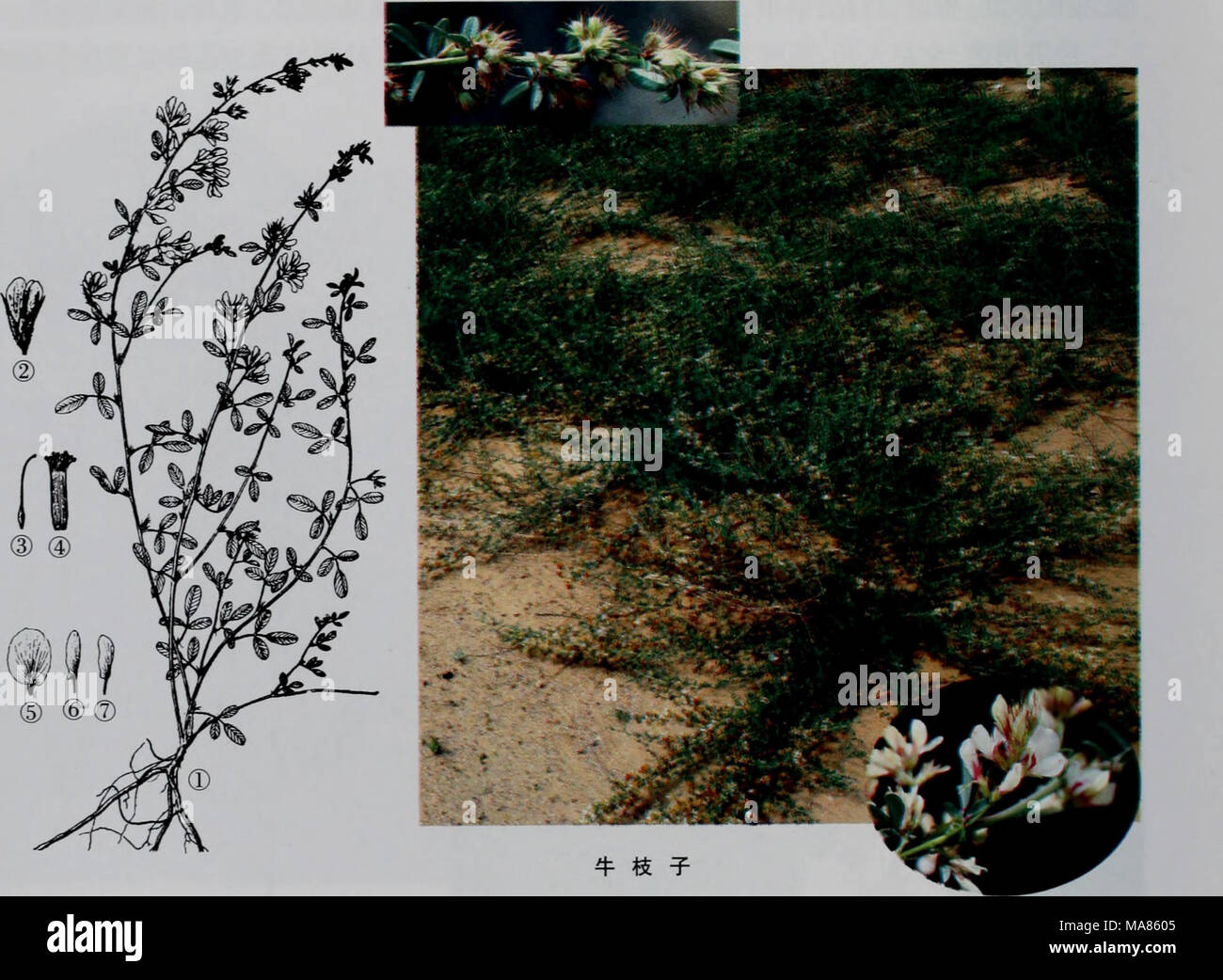 Ea 3b Fotos E Imagenes De Stock Alamy