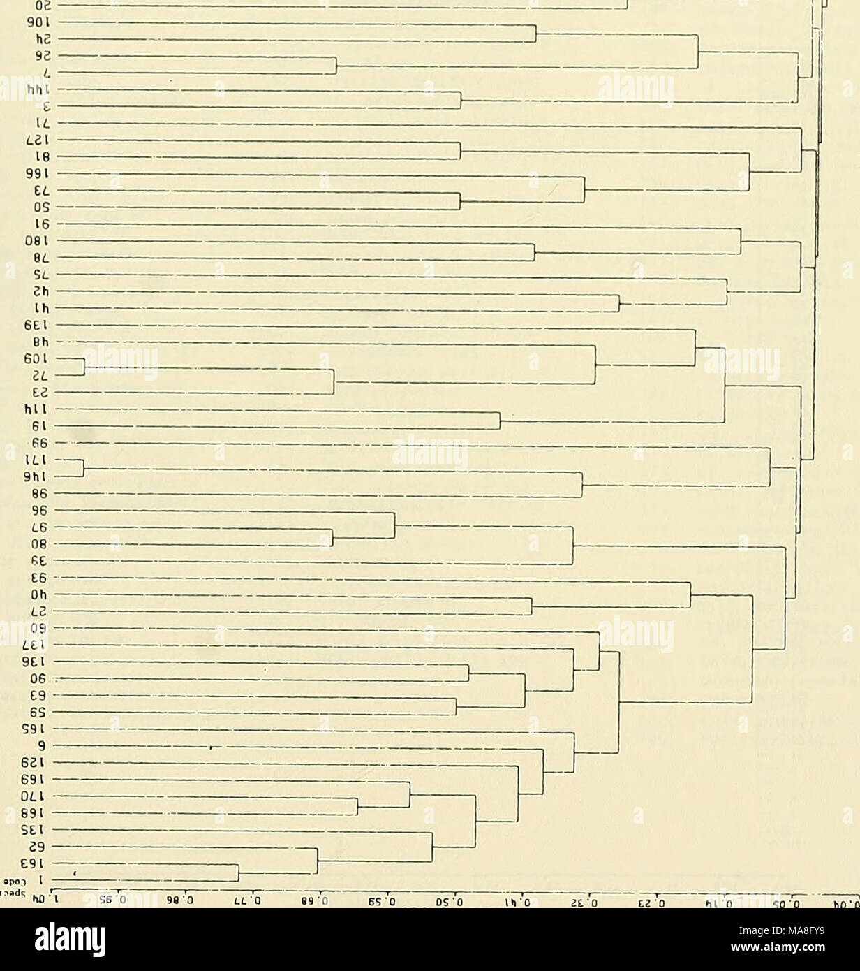 Efectos Ecologicos De Una Isla Artificial El Rincon De La Isla Punta Gorda California 3 F A A Gt A Gt 1 1 S U W U M L 0 3 O H U