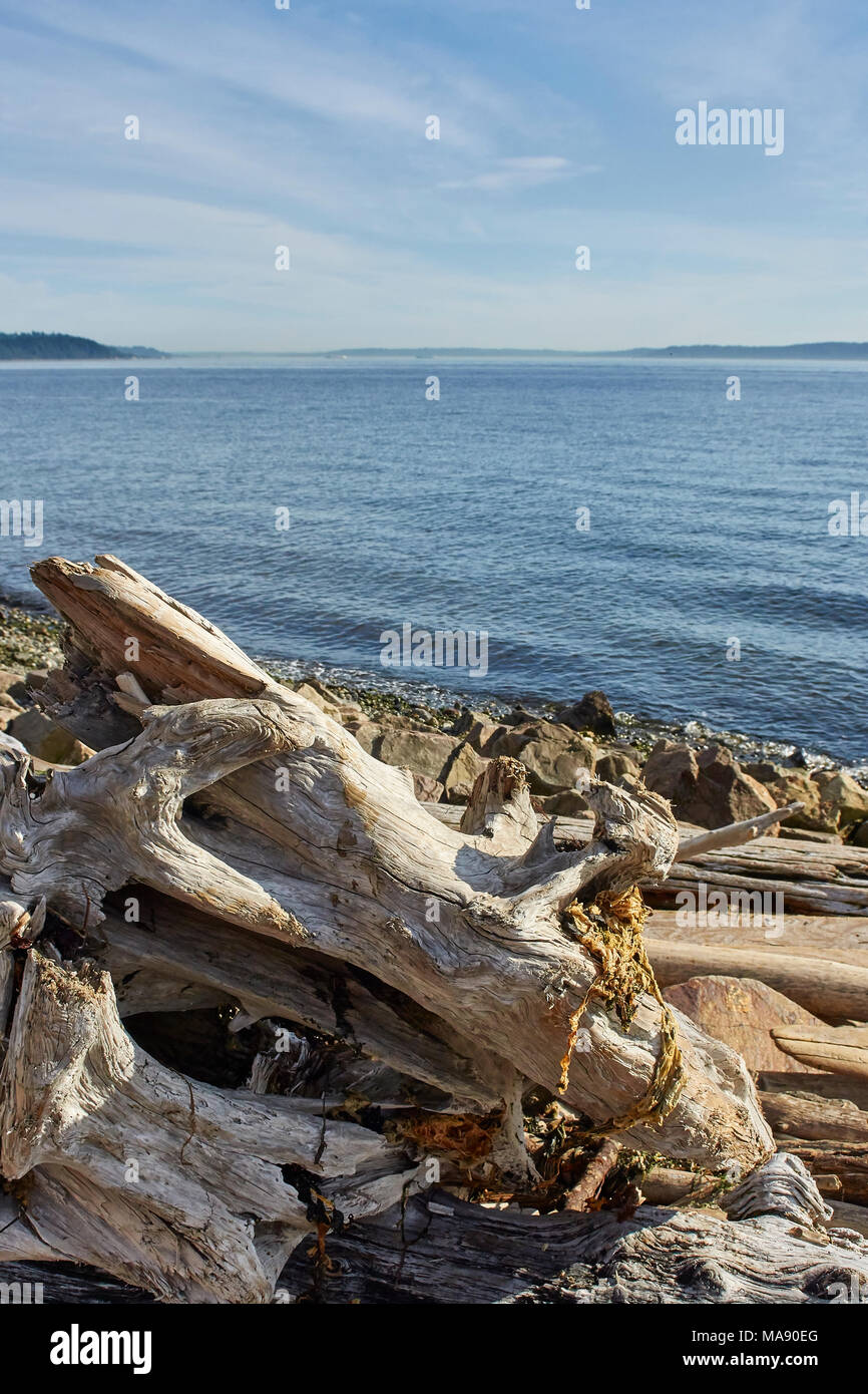 Imagen tomada alrededor de Alki Beach en Seattle, estado de Washington Foto de stock