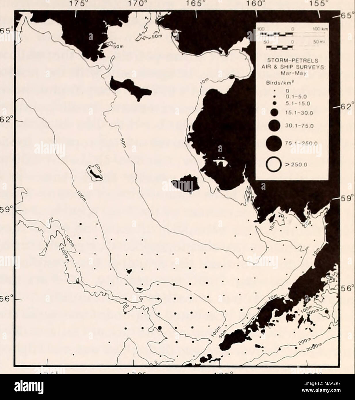. El Mar de Bering Oriental estante: oceanografía y recursos / editado por Donald W. Hood y John A. Calder . La Figura 40-18. Distribución pelágica de paíños-air y enviar encuestas: De Marzo a Mayo. Foto de stock