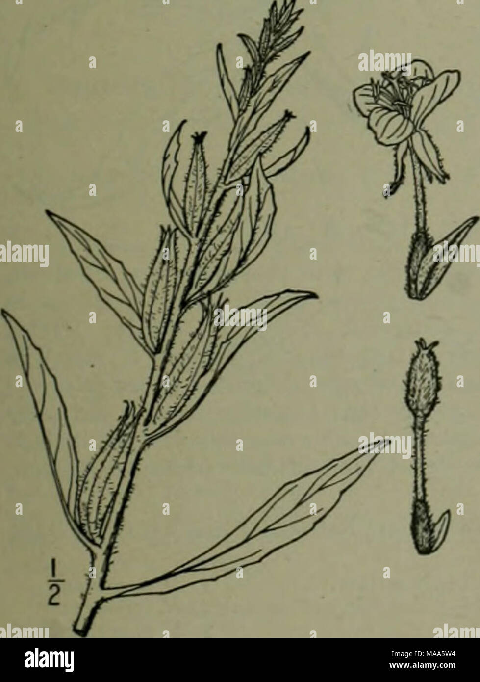 New Jersey Boundary Fotos E Imagenes De Stock Alamy