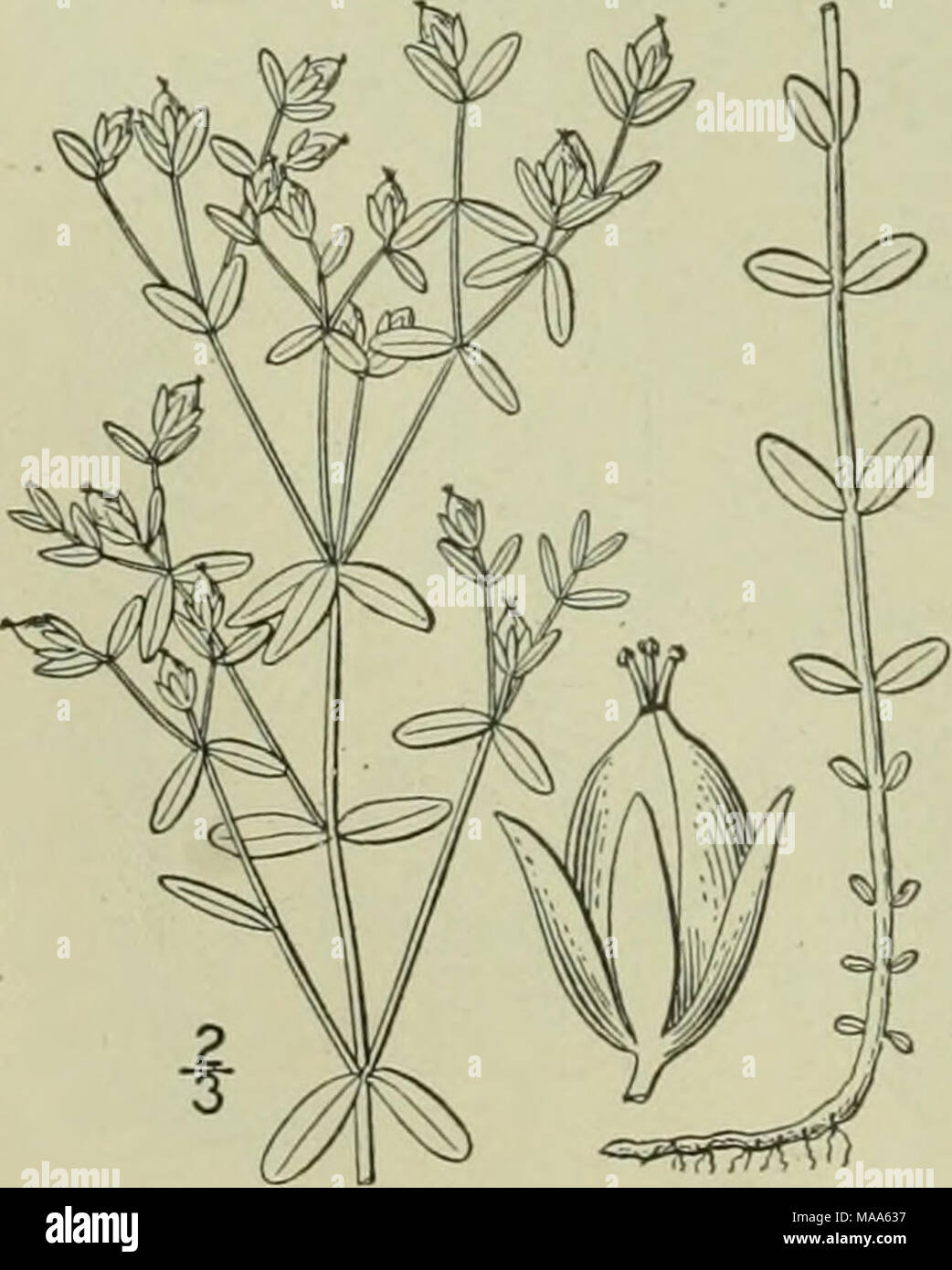 New Jersey Boundary Fotos E Imagenes De Stock Alamy