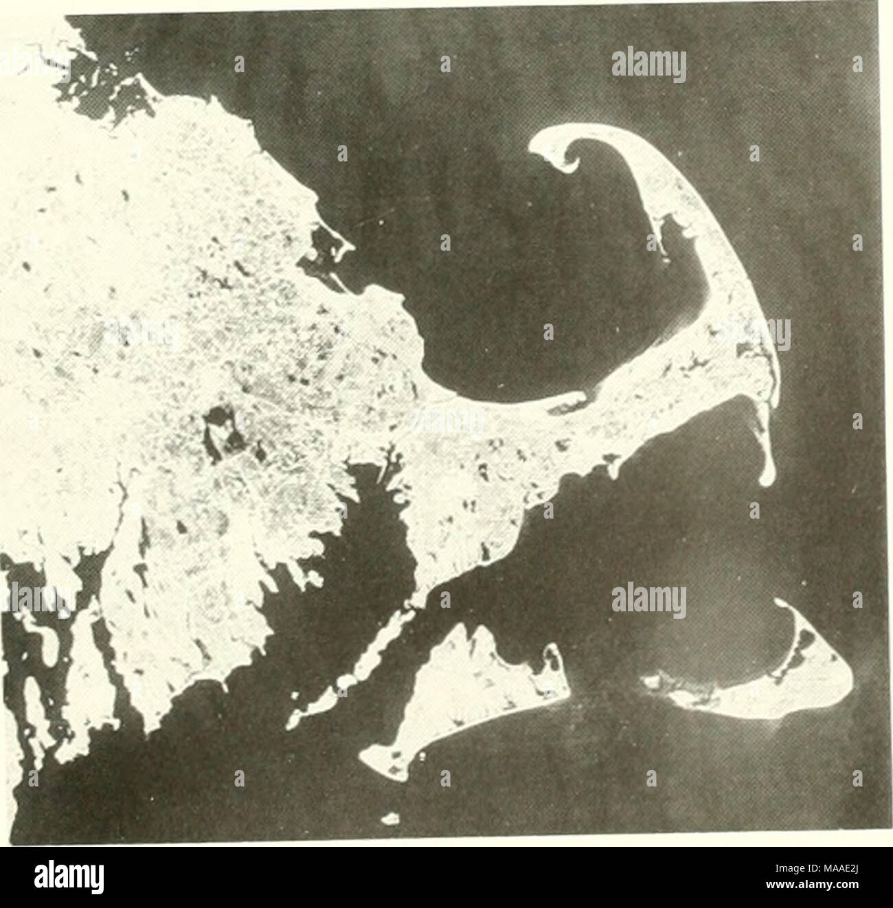 La ecología de Buzzards Bay : un perfil estuarinos . Fig. 1.1. Fotografía  por satélite de Auras de Cape Cod Bay y las poblaciones de peces, tanto  residentes como migratorias, con