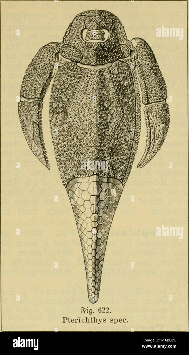 . El Dr. Johannes Leunis Sinopsis der thierkunde. Ein Handbuch für höhere lehranstalten und für alle, welche sich wissenschaftlich mit der naturgeschichte der thiere beschäftigen wollen . Foto de stock
