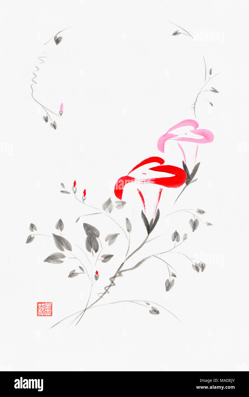 Hermoso color rojo y rosa flores campanillas artística ilustración de estilo oriental, el zen japonés Sumi-e pintura de tinta sobre papel de arroz blanco antecedentes Foto de stock