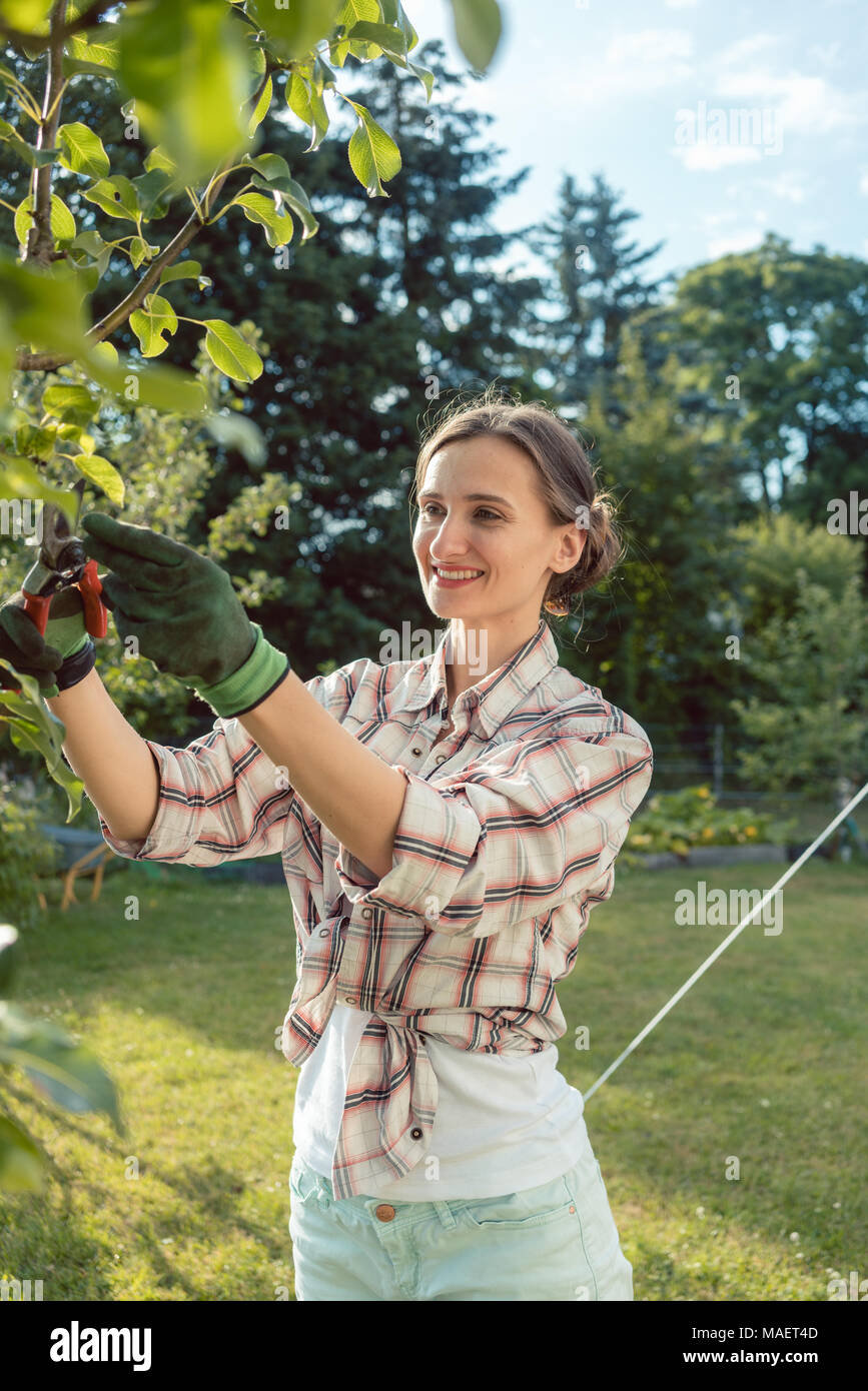 Mujer en jardín de árboles frutales comprobación Foto de stock