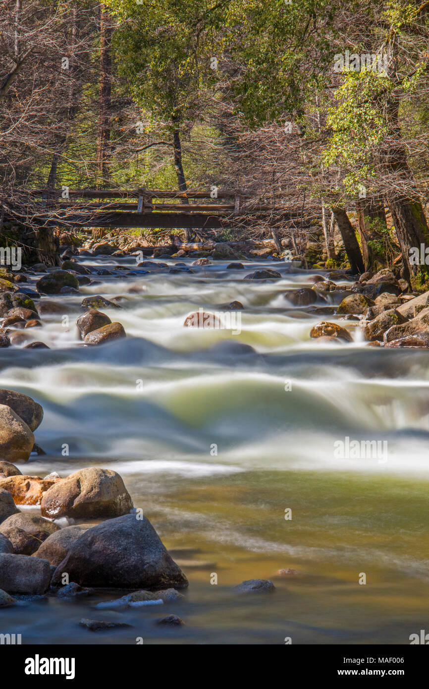 El río Merced, fluye a través del valle de Yosemite en el sol de primera hora de la mañana. Foto de stock