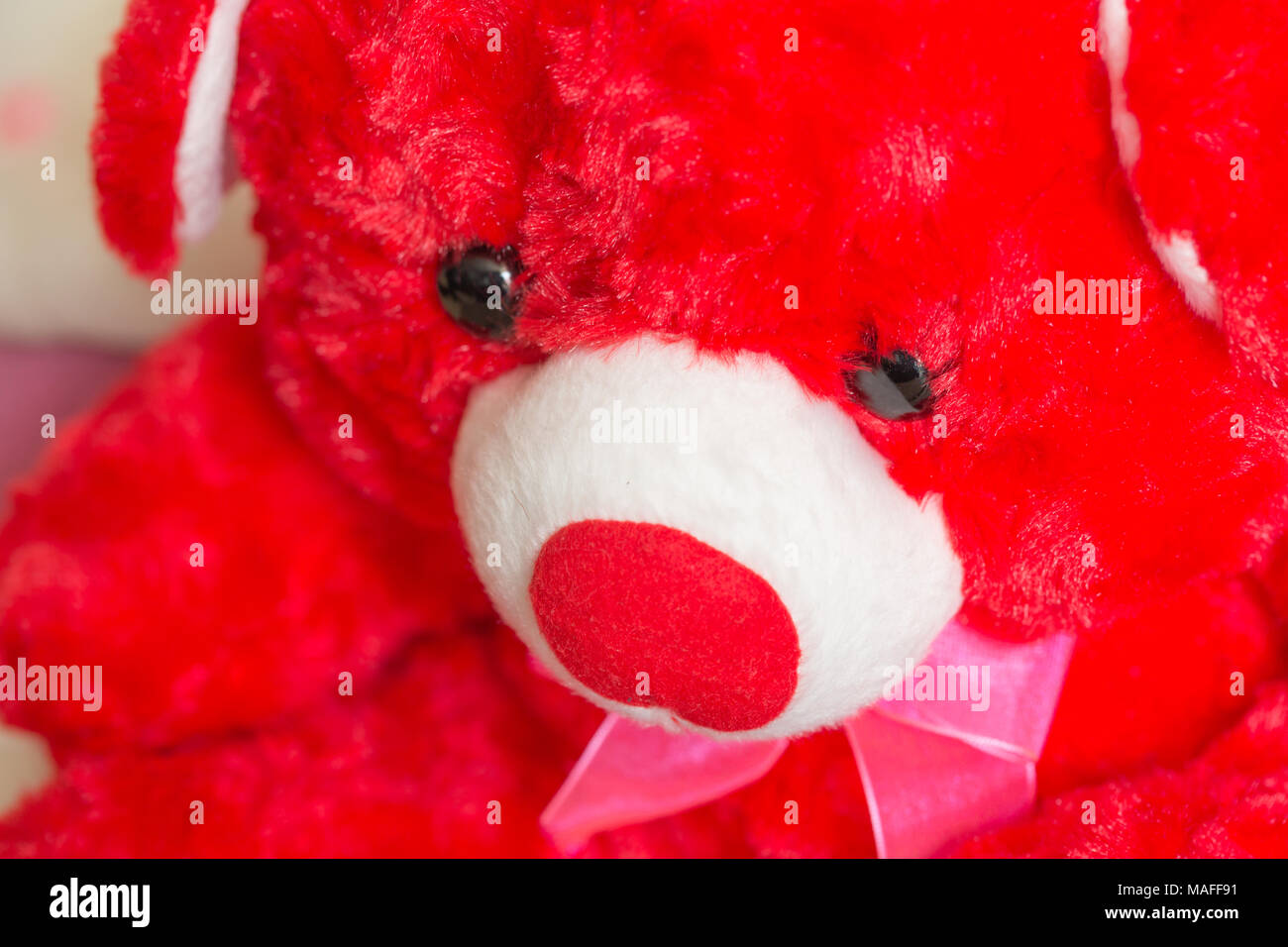 Close-up de lonely abandonados juguete osito de peluche en el bosque  Fotografía de stock - Alamy