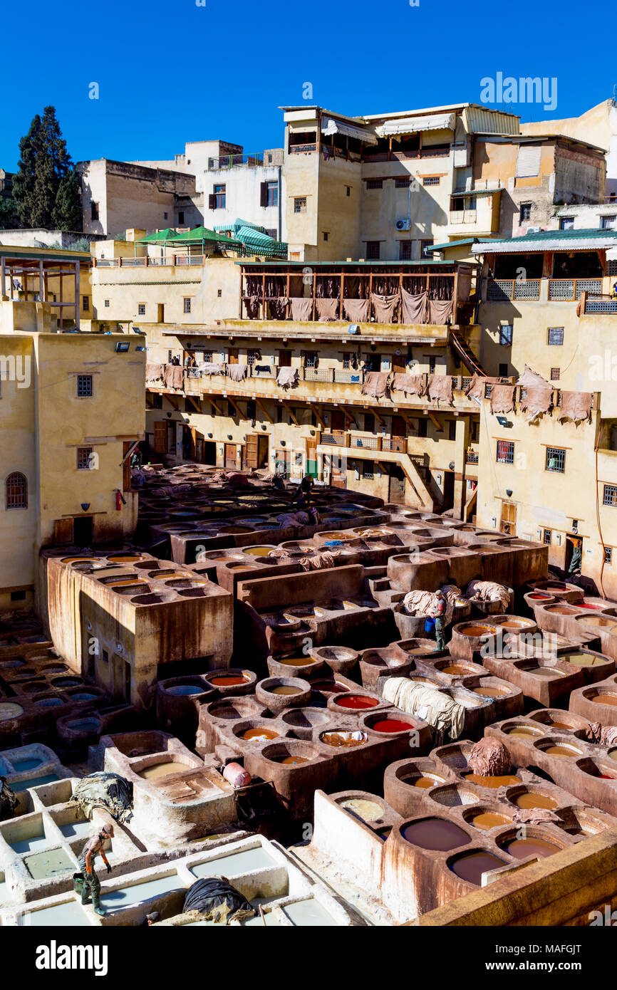 Artesanos de cuero teñido en Chaouwara curtiduría en Fez, Marruecos Foto de stock