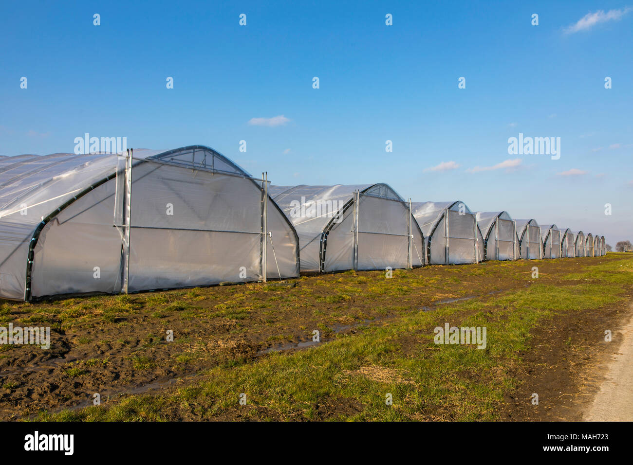Invernaderos de plástico exterior fotografías e imágenes de alta resolución  - Alamy