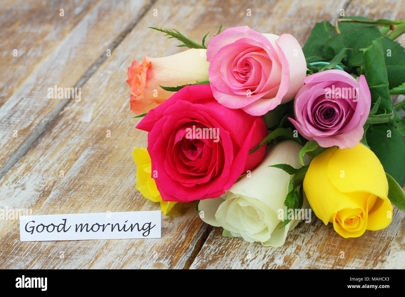 Buenos dias rosa fotografías e imágenes de alta resolución - Alamy
