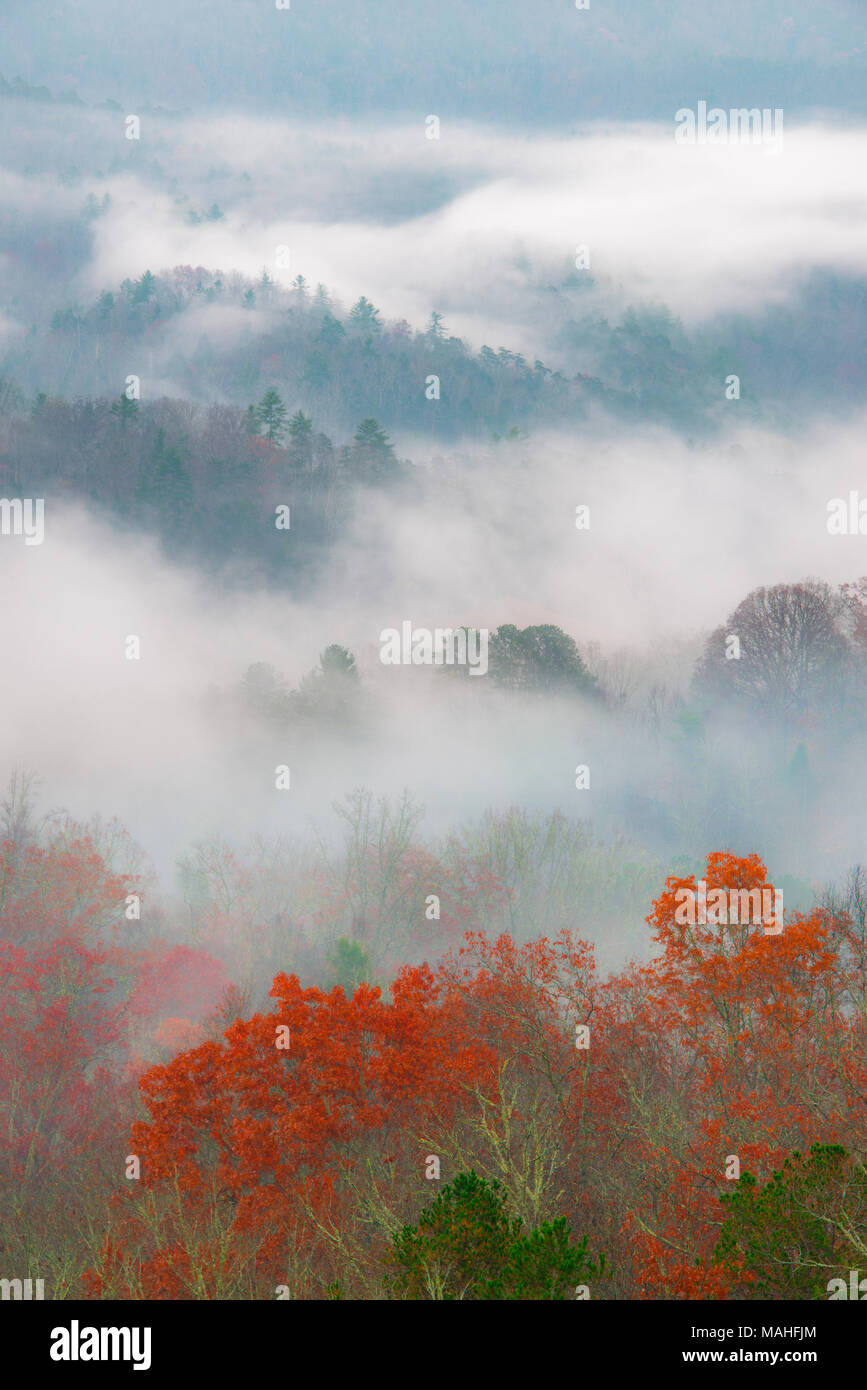 Aumento de la niebla y los colores de otoño, Great Smoky Mountains National Park, TN, EE.UU., por Bill Lea/Dembinsky Foto Assoc Foto de stock