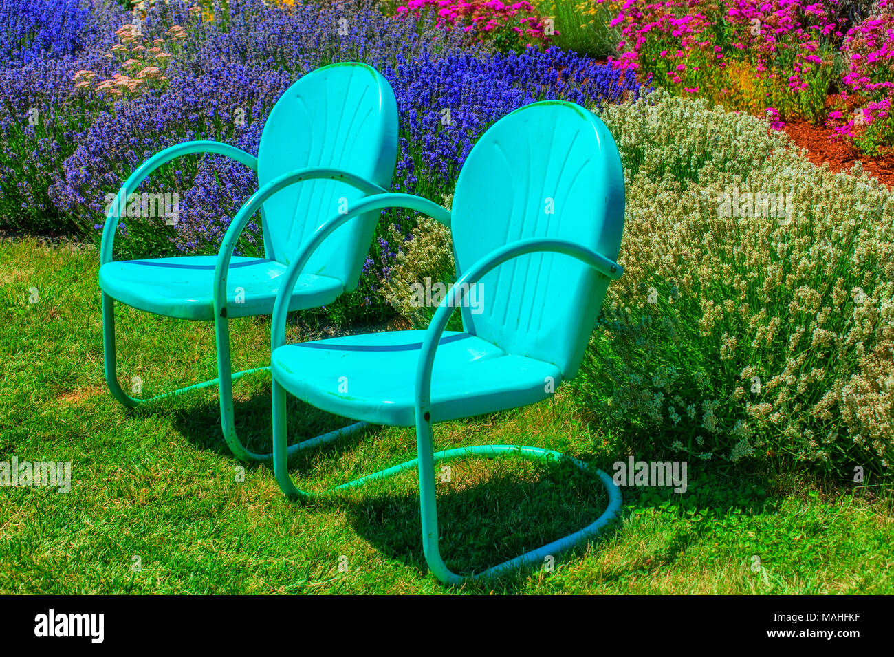 Dos reposeras retro metal azul última sentarse sobre un césped en un jardín  de flores Fotografía de stock - Alamy