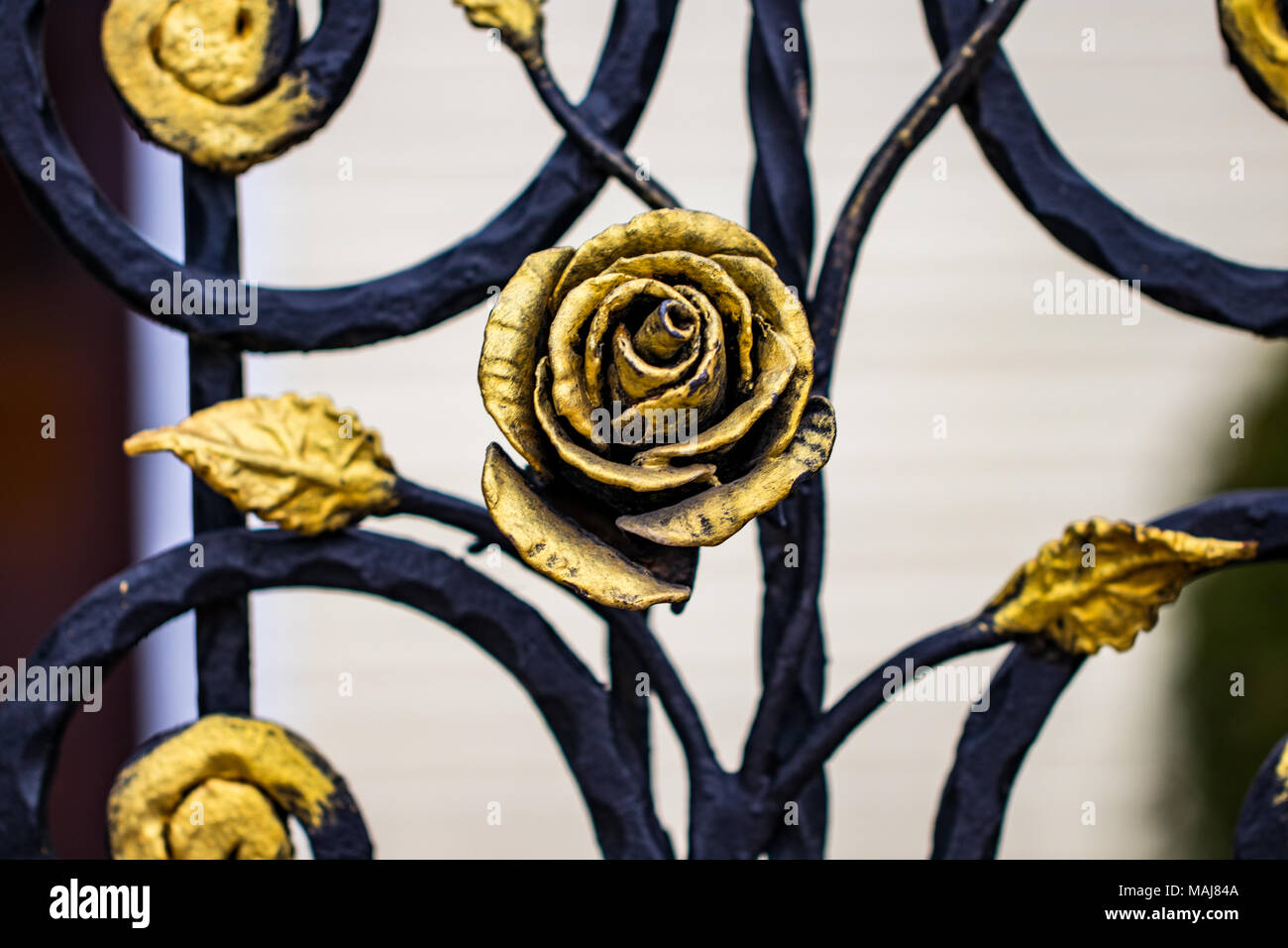 Los detalles, la estructura y los adornos de la puerta de hierro forjado.  Ornamen decorativa con rosas, hechas de metal Fotografía de stock - Alamy