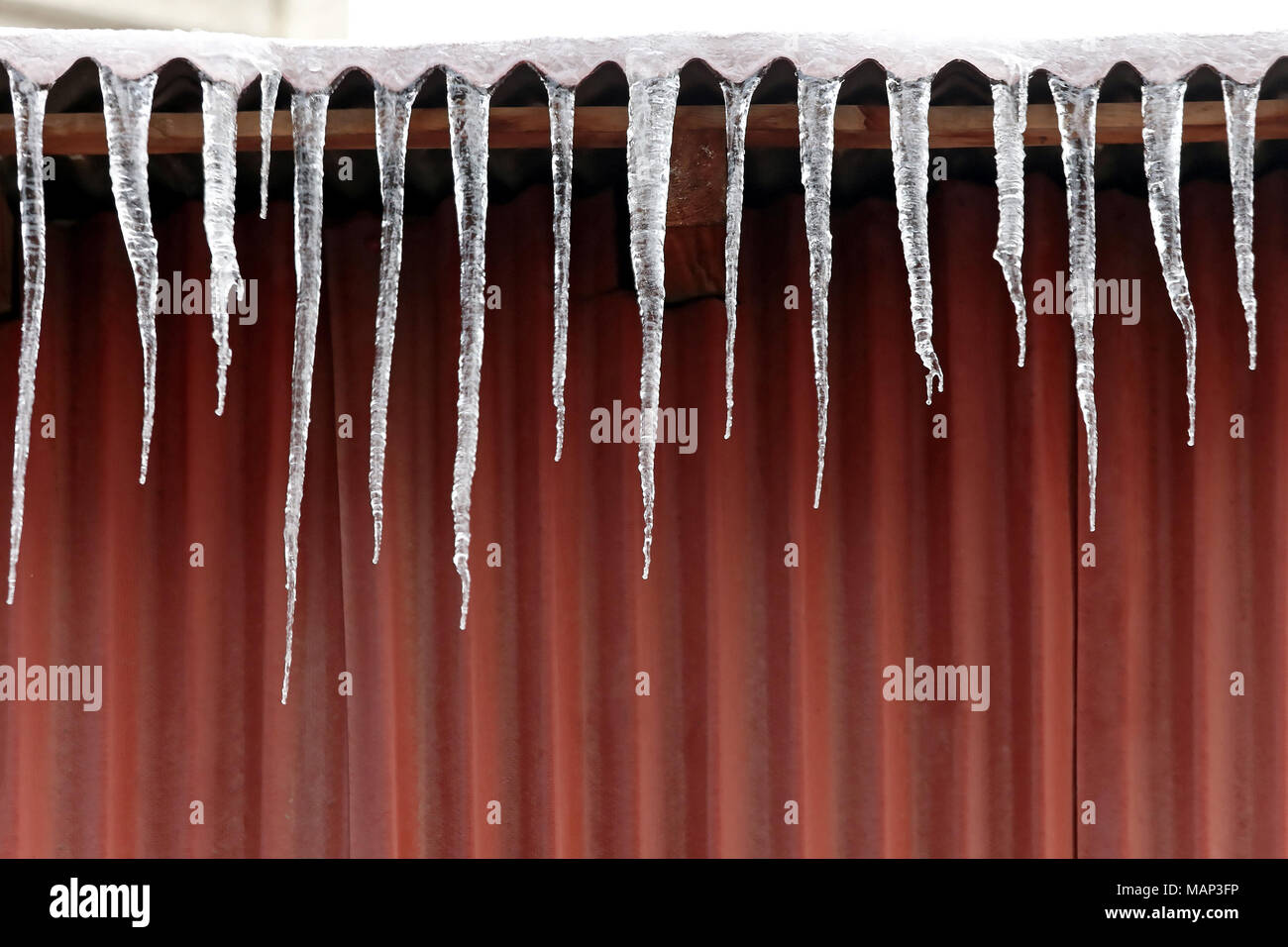 Peligro Icicle congelados picos de hielo formado en casa Fotografía de  stock - Alamy