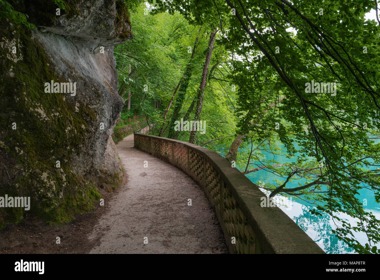 Senderos en el bosque, el Lago Bled, Alpes, Eslovenia. Pathway lane, verdes árboles. Hermoso camino, callejón en el parque. Ruta en bosque de verano. Pasarela vacía. Foto de stock