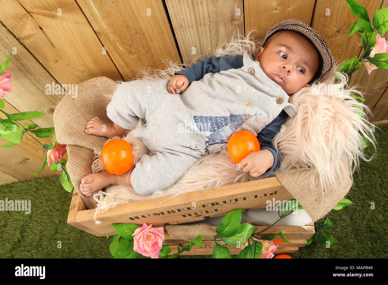 10 semanas de edad, etnia Baby Boy durmiendo en la caja de fruta Foto de stock