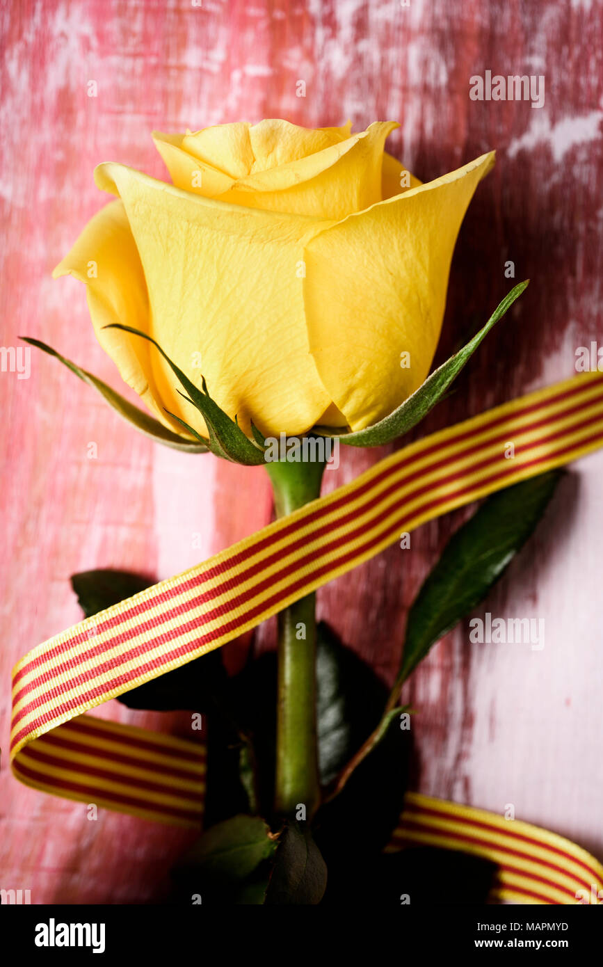 Una rosa amarilla y una bandera catalana en una superficie de madera rústica para Sant Jordi, el nombre catalán de Saint Georges día, cuando existe la tradición de dar rosas Foto de stock