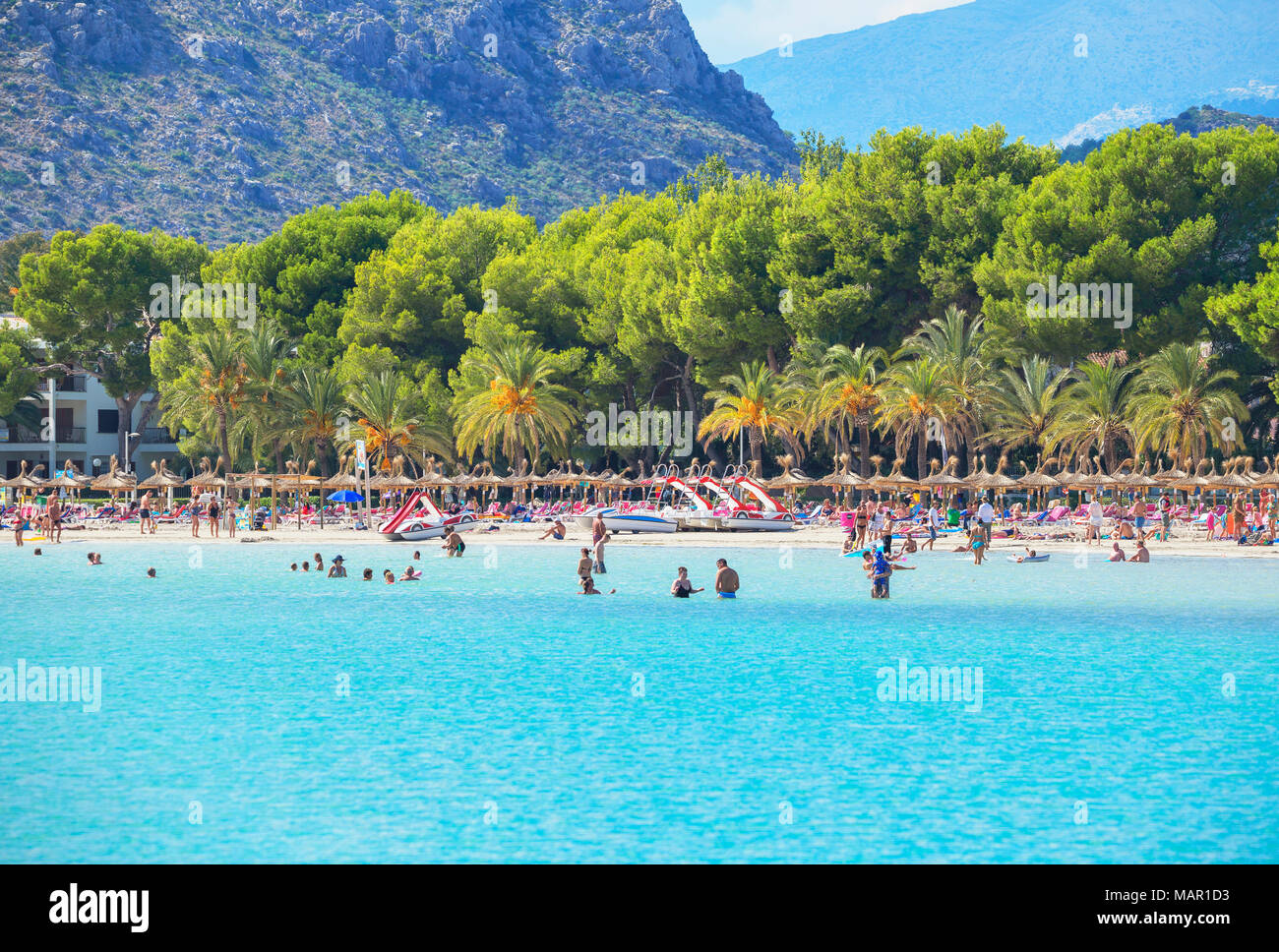 Playa de Puerto de Alcudia, Mallorca, Islas Baleares, España, Mediterráneo,  Europa Fotografía de stock - Alamy